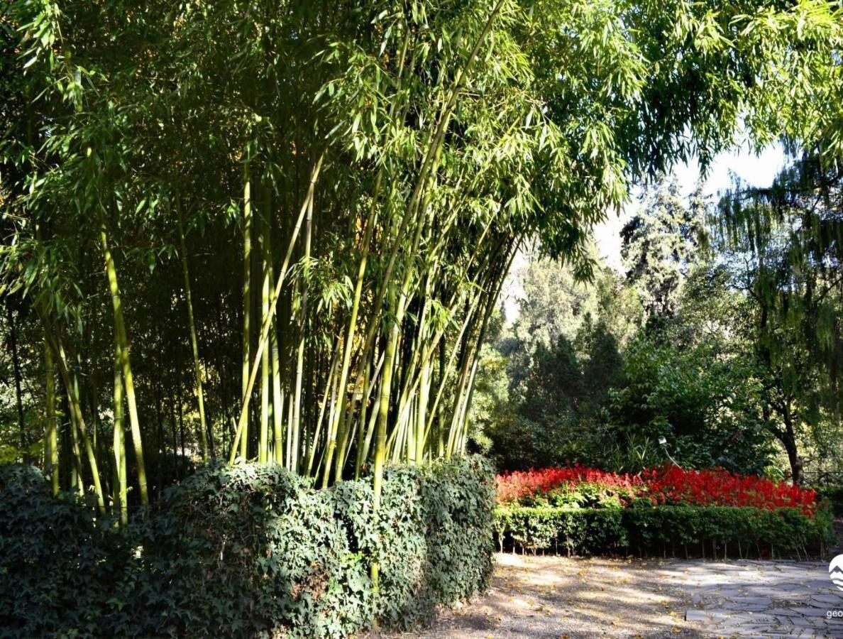 Botanical 21 Tbilisi